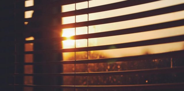 Window Blinds